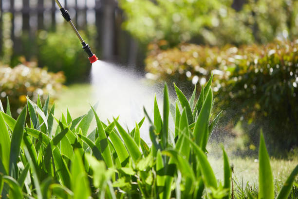 24/7 Emergency Mosquito Control experts in Lincoln, NE