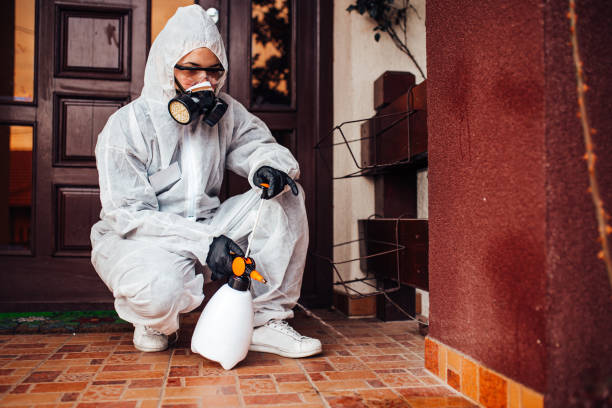 Reliable Mosquito Control contractor in Lincoln, NE by Show Me Pest Control